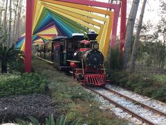 -合肥滨湖国家森林公园