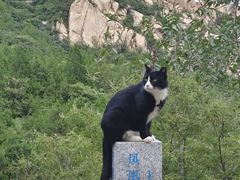 -北京凤凰岭