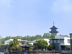 -溱湖国家湿地公园