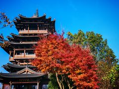 -杭州半山国家森林公园