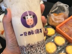 -一只酸奶牛(八一路店)