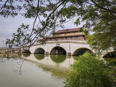 -大湾区中央湿地公园