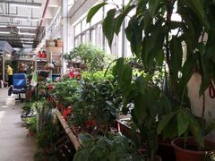 -双季花艺园艺市场(浦东店)
