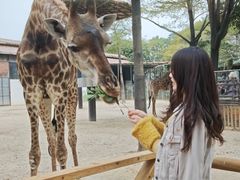 -灵玲国际马戏城