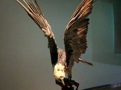 -陕西自然博物馆