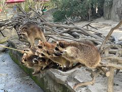 -宁波野生动物园
