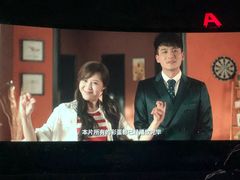 -枫花园汽车电影院(朝阳公园店)