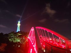-金鸡山公园