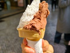 -柠檬车露(卖草地店)