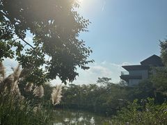 -木守西溪溪隐餐厅