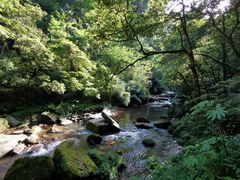 -碧峰峡风景区