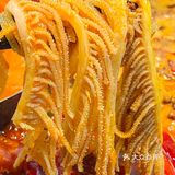 从此来西安大唐不夜城又多了一个理由… 