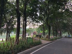 -东莞植物园