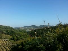 环境-东部华侨城