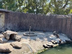 -上海野生动物园