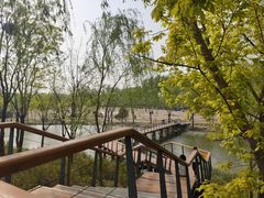 -东郊湿地公园
