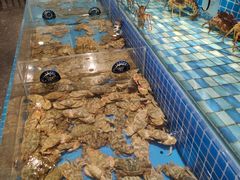 -蓝钻·国际美食海鲜自助百汇(西直门店)