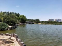 -大兴滨河森林公园