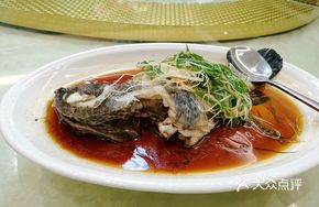 Tiger Grouper