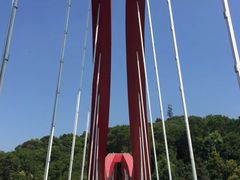-玉树公园