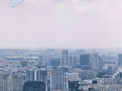-龙塔