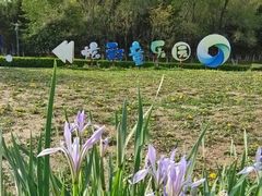 -莫子山公园