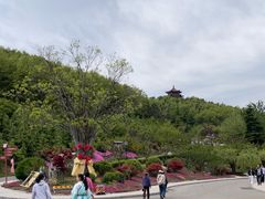 -《神游传奇》秀