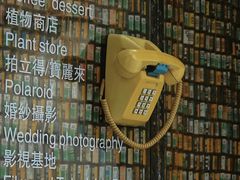 -溪岸路花鸟市场