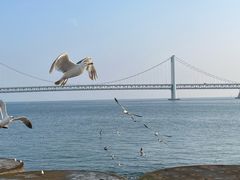 -星海广场