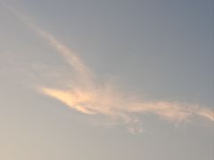 -小麦岛公园