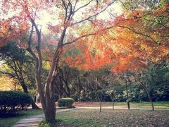 android_upload_pic-府山公园