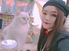 -喵屿·大理花园猫咖