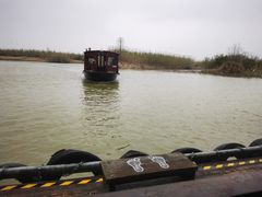 -宁波杭州湾国家湿地公园