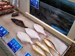-双井轩(双井店)