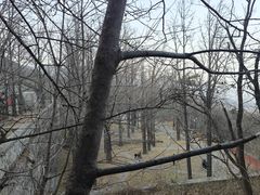 -阳台山自然风景区