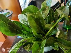 菠菜-洪长兴(云南南路店)