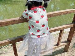 -燕郊植物园