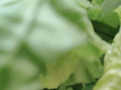 -茅庐川菜(青岛凯德店)