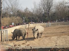 -西安秦岭野生动物园