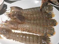 -加餐海鲜自助(宝龙一城店)