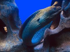 -北海·海洋之窗