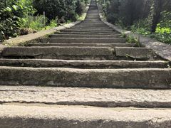-长沙黑麋峰国家森林公园