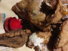 -前海沿·青岛菜(大拇指广场石老人店)