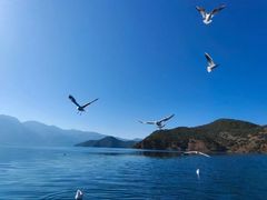 -丽江泸沽湖景区