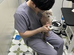 -达爱动物医院·犬猫分区·CT·复杂眼科(远洋山水分院)
