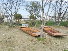 -鹅湖玫瑰文化园