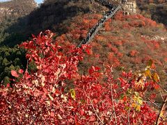 -狼牙山风景区