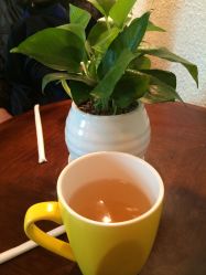 -巴黎婚纱摄影工作室