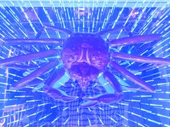 -蟹之国·精品蟹料理(极地店)