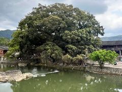 -云水谣景区
